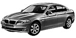 BMW F10 U20D0 Fault Code